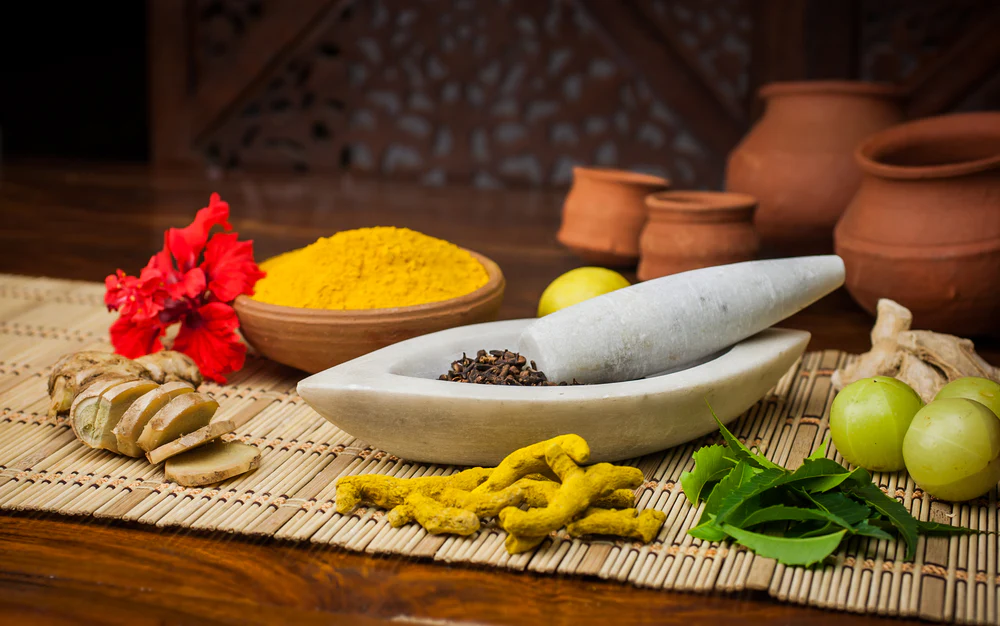 Tamarind in Ayurvedic and Traditional Medicine: Ancient Wisdom for Modern Wellness