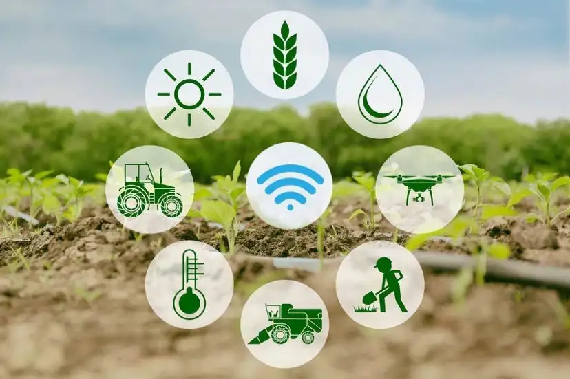 Sustainable farming